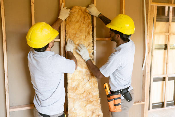 Best Professional Insulation Contractor  in Withamsville, OH